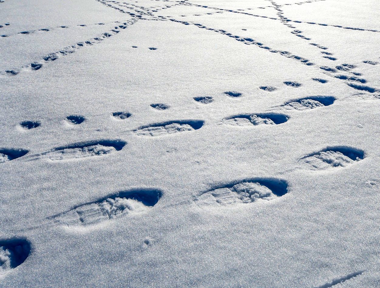 VALL DE BOÍ (Pirineo catalán)