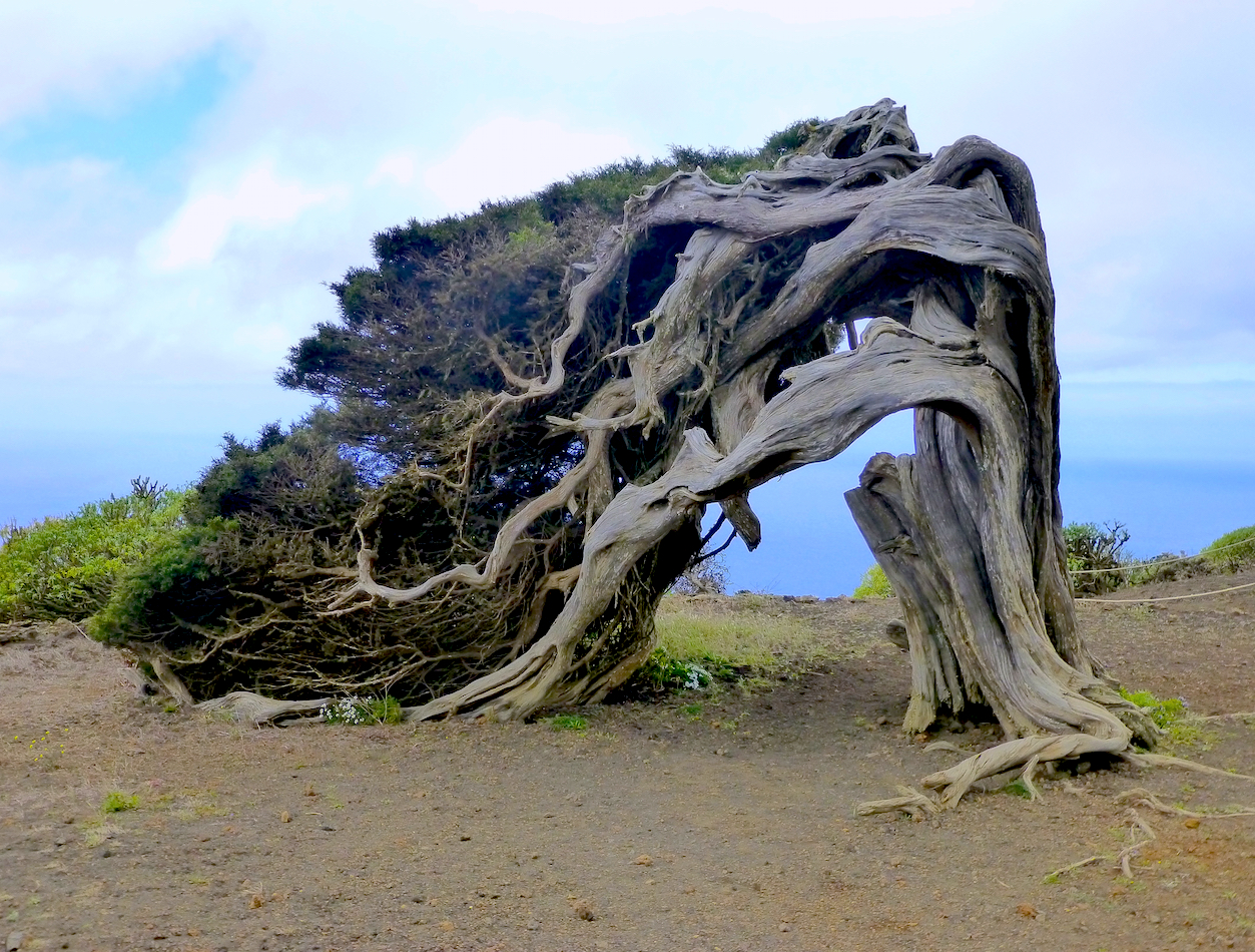 EL HIERRO (Canarias)